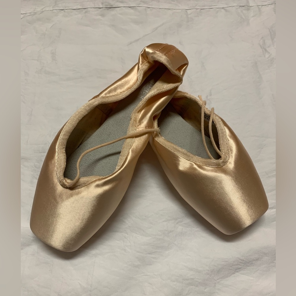 BLOCH Heritage point shoes S0180L